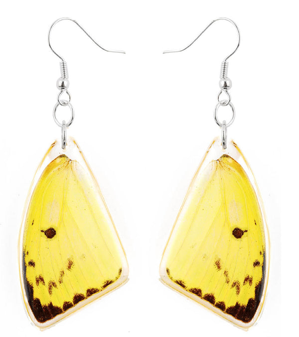 Handmade Sterling Silver Real Orange Emigrant Butterfly Wings Dangle Earrings