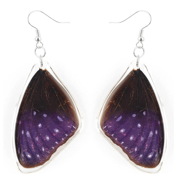 Handmade Sterling Silver Real Striped Purple Crow Butterfly Wings Dangle Earrings