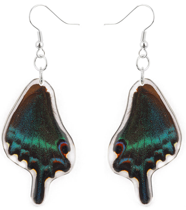 Handmade Sterling Silver Real Alpine Black Swallowtail Butterfly Wings Dangle Earrings